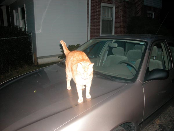 July 14, 2002 074