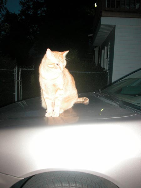 July 14, 2002 075