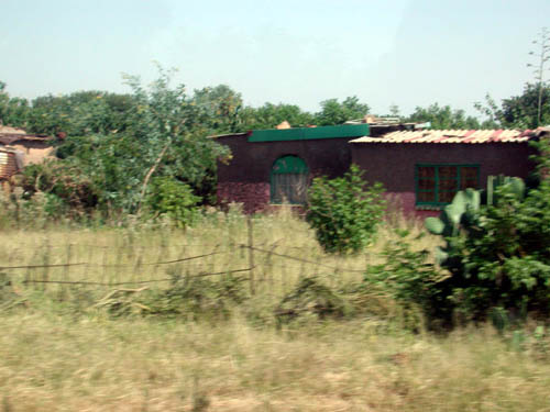 DSCN1054