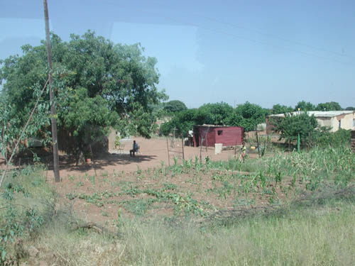 DSCN1063