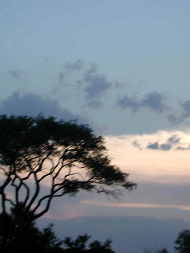 DSCN1249