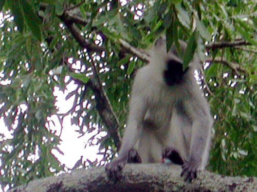 DSCN1277