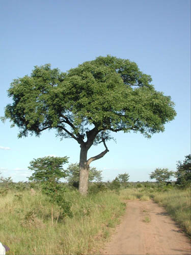 DSCN1286