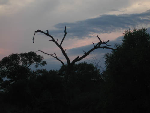 DSCN1316