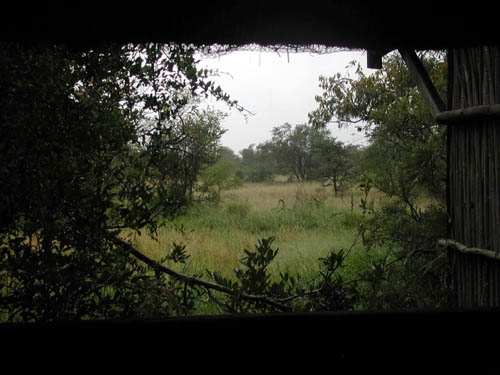 DSCN1364