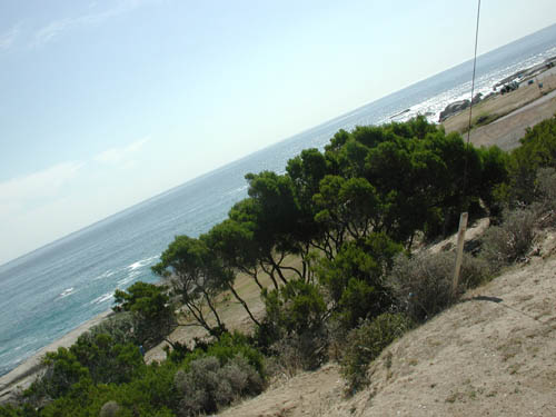 DSCN1510