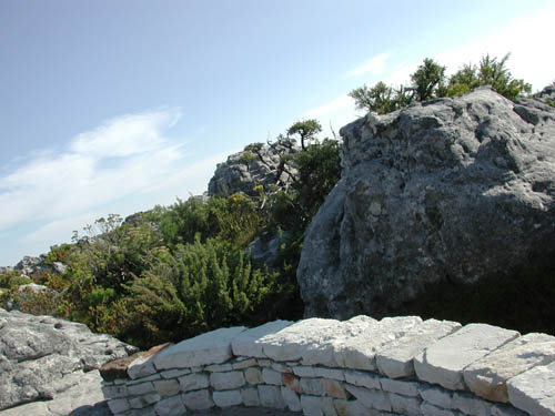 DSCN1520