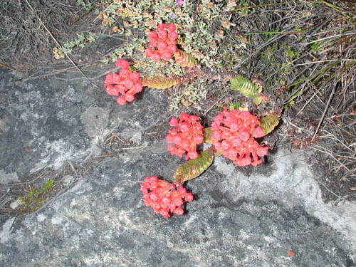 DSCN1543