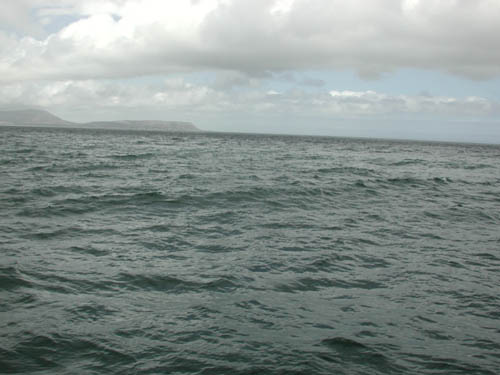 DSCN1591