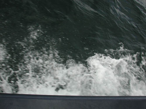 DSCN1593