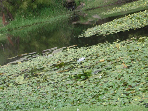 DSCN1656