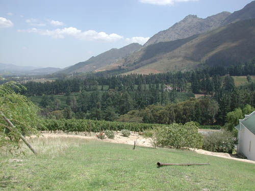 DSCN1705