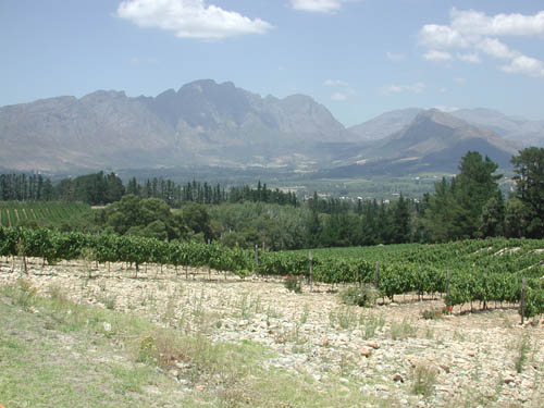 DSCN1707