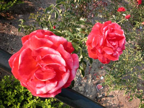 DSCN0164