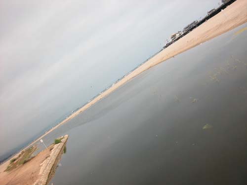 DSCN0202